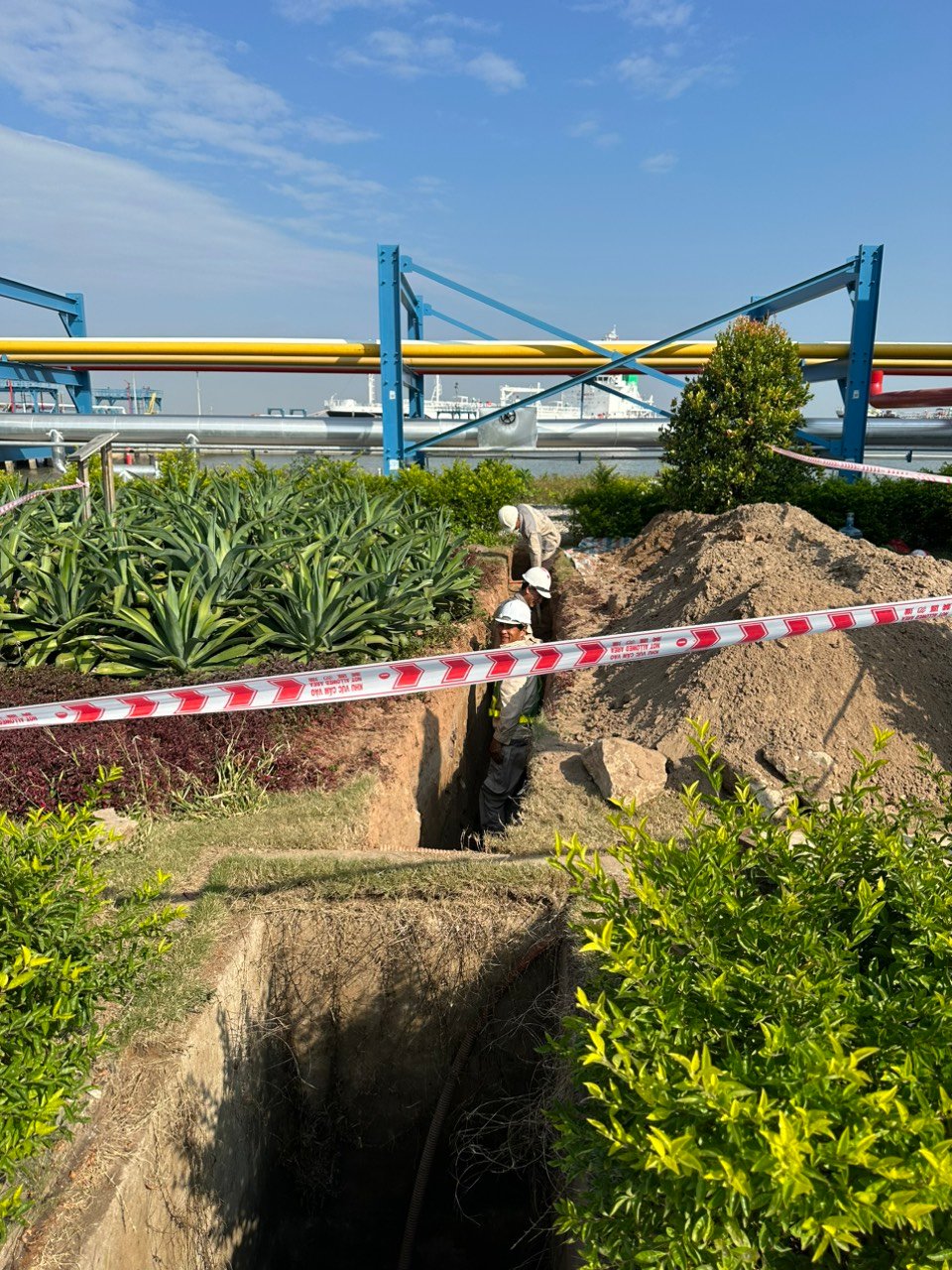 z7307553216862 c64806dcc7eb5c03442bba2894760452