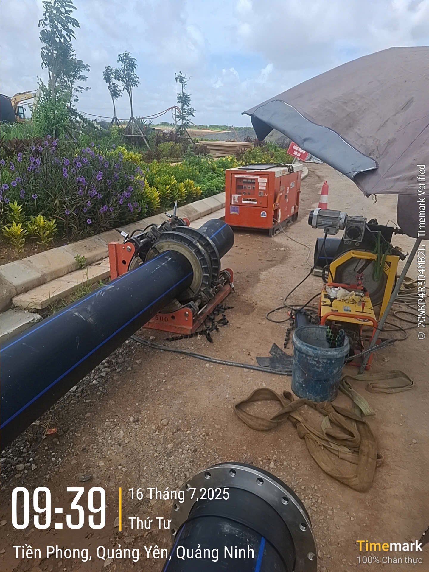 z7307559238706 f8b7d5159199a05e2012cb3cb10cd936