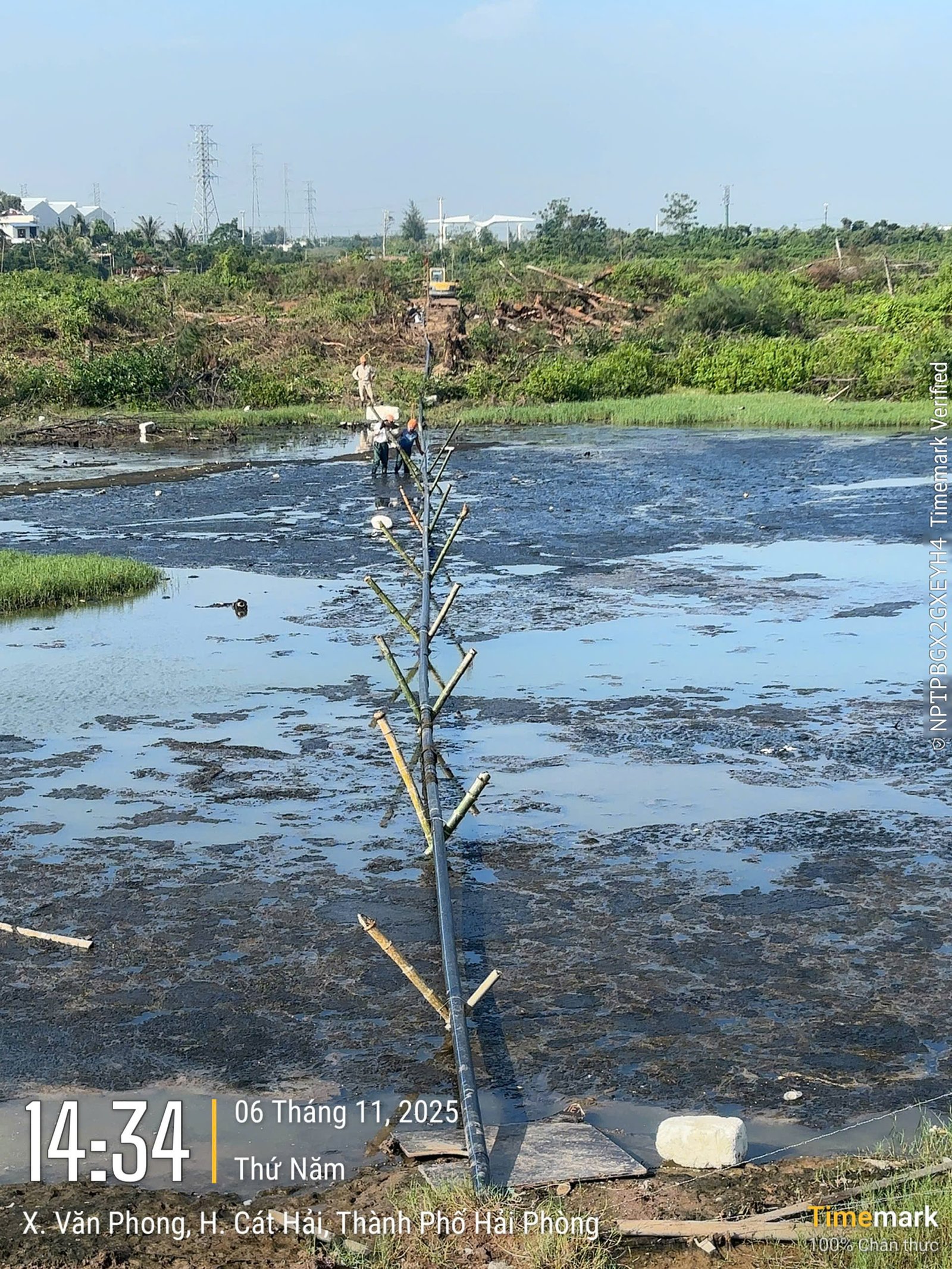 z7307561388452 fe00a05710e1c80e65b421d506aa3bff