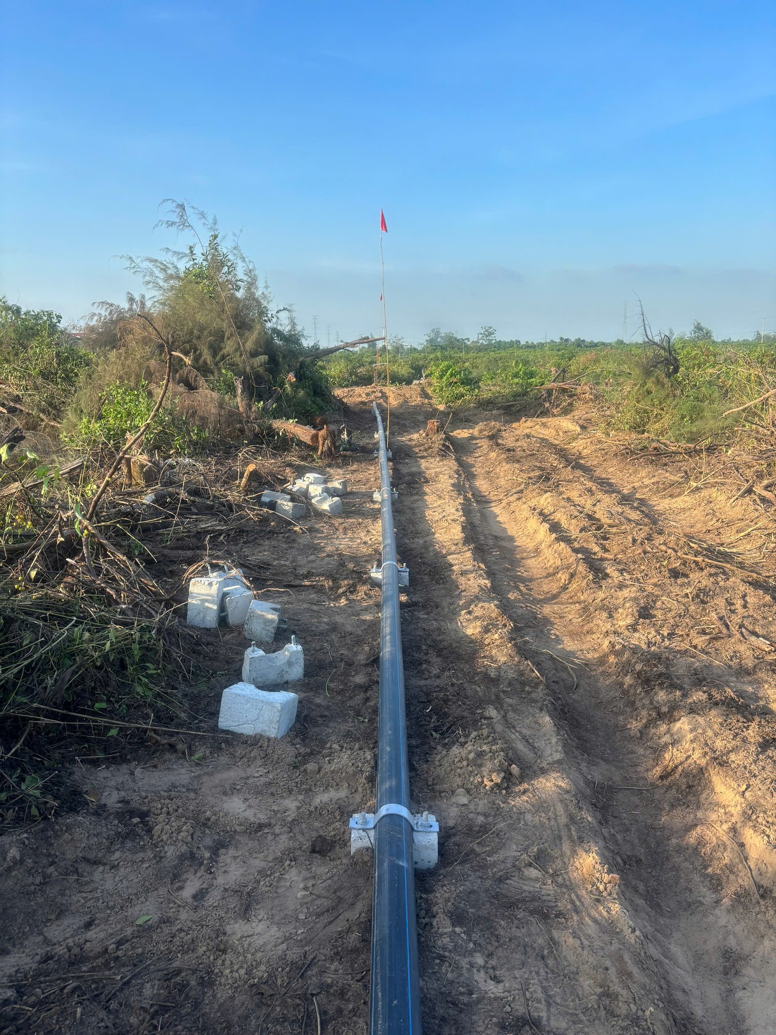 z7307561392359 326521dec06ed9ac1759549d0c8ee52e